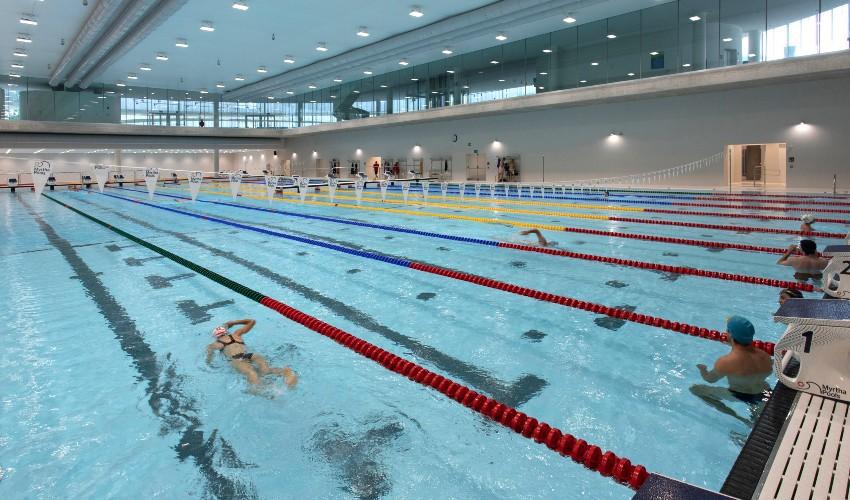 Into the Water to Improve Stress Resistance - Bocconi University